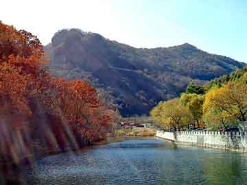 新澳天天开奖资料大全旅游团，重生之重活一回